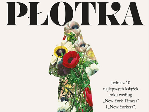 plotka_2