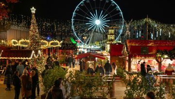 pexels-jakubzerdzicki-19361199-Duzy